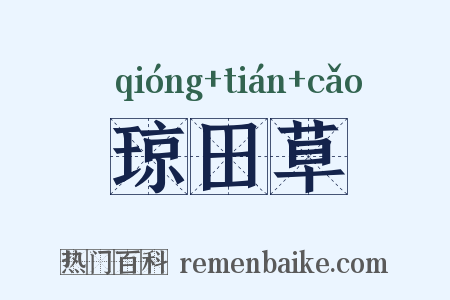 琼田草是什么意思的图片